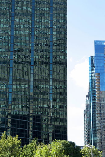 Modern Glass Skyscrapers with Blue Reflections and Green Trees