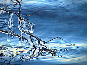 Frozen Branches with Icicles in Rippling Blue Water