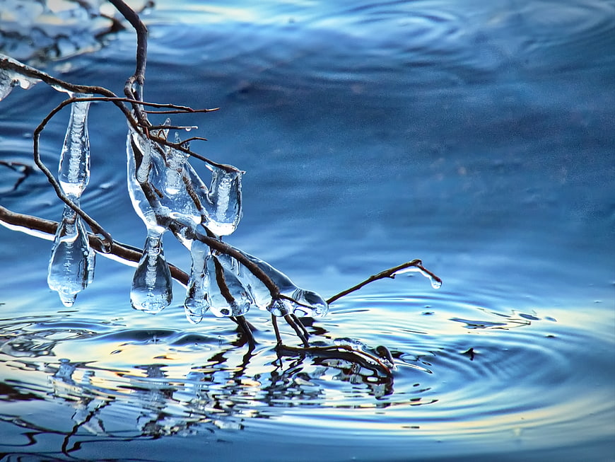 Frozen Branches with Icicles in Rippling Blue Water