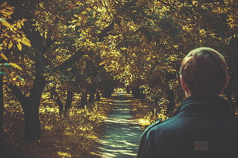 Man walking down sunlit autumn forest path