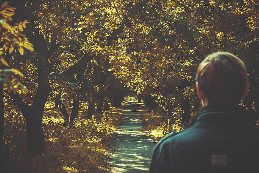 Man walking down sunlit autumn forest path