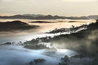Misty Mountain Landscape with Rolling Fog and Forested Hills