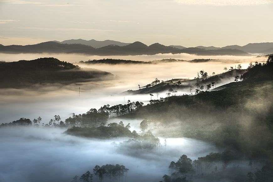 Misty Mountain Landscape with Rolling Fog and Forested Hills