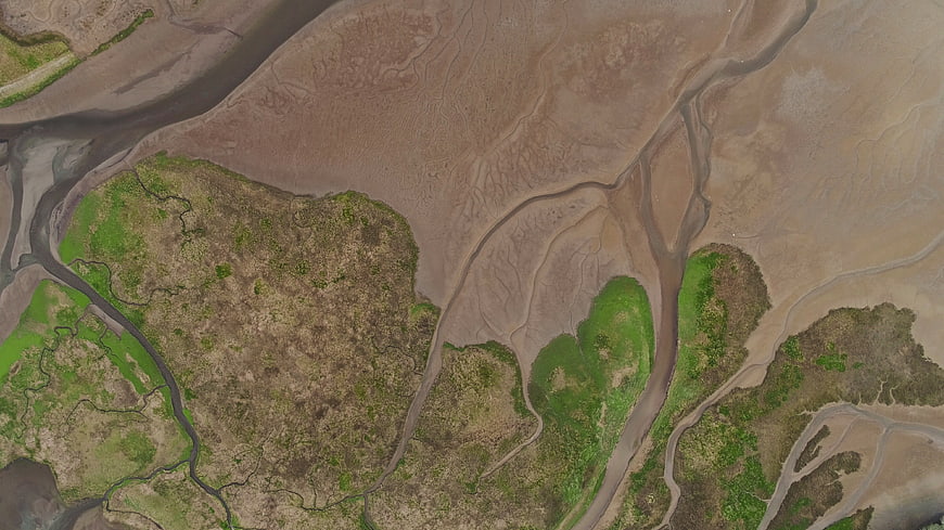 Aerial view of winding river delta with green islands and sandbanks