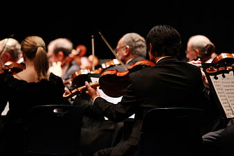 Orchestra Musicians Playing Violins on Stage