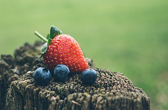 Fresh Strawberry and Blueberries on Wooden Stump