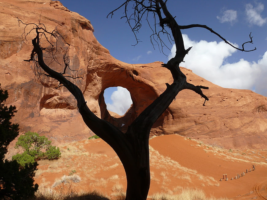 Silhouette of dead tree framing Ear of the Wind arch in Monument Valley