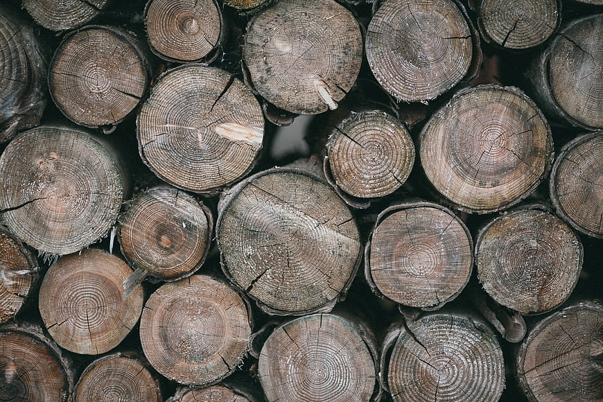 Stacked Wood Logs with Visible Tree Rings and Texture