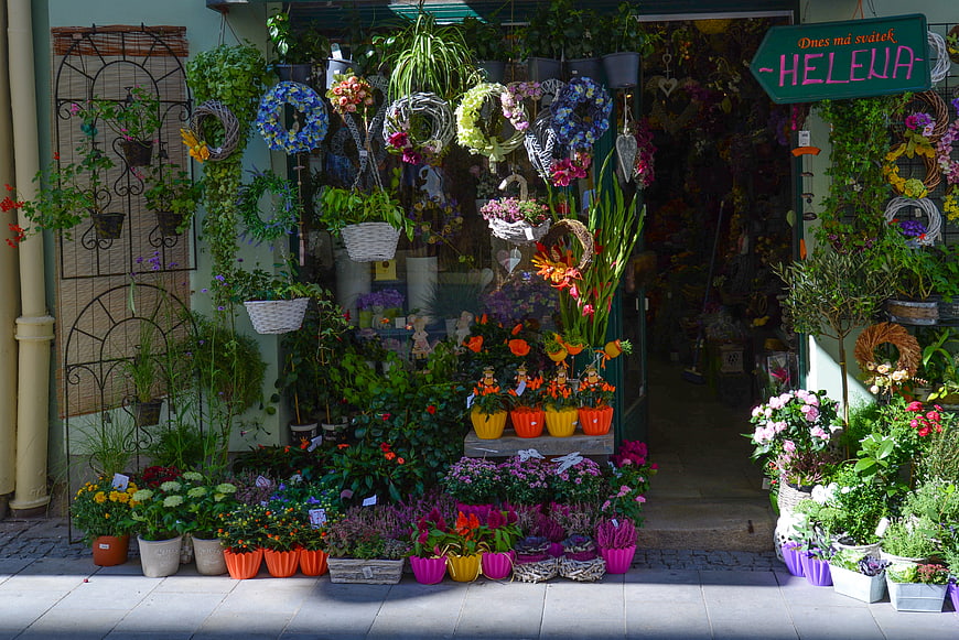 Colorful flower shop display with wreaths and potted plants