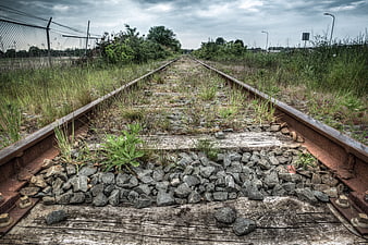 Overgrown abandoned railway tracks leading into the distance