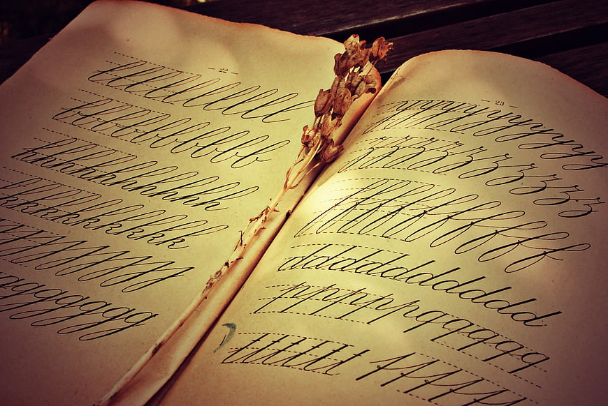 Vintage Calligraphy Practice Book With Dried Flower Bookmark
