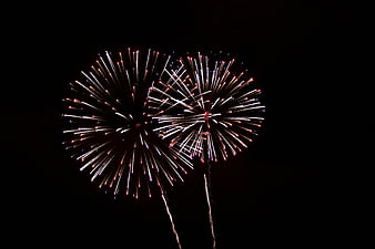 Fireworks exploding in the night sky