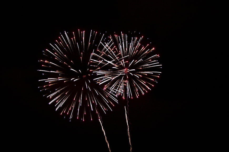 Fireworks exploding in the night sky