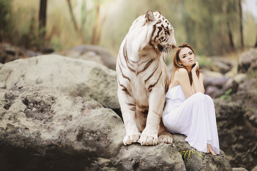 Woman in White Dress Sitting with White Tiger on Rocks