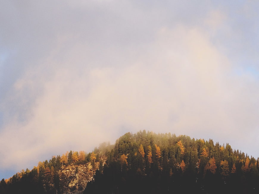 Misty Autumn Mountain Ridge with Golden Trees