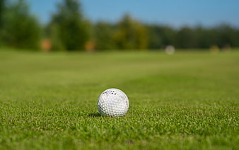 Close-up of a golf ball on a green grass course
