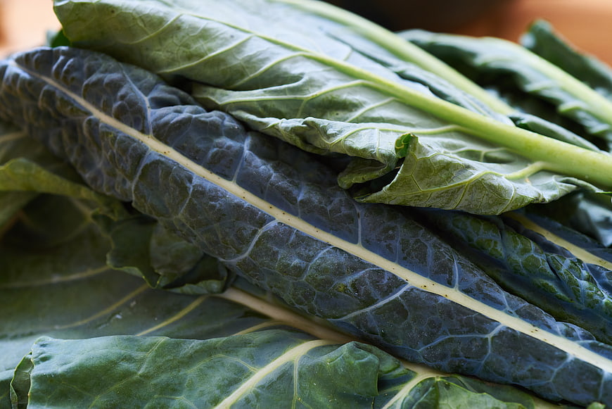 Close-up of fresh organic kale leaves with detailed texture