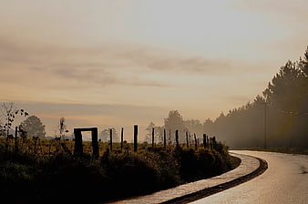Winding Country Road at Sunrise with Misty Forest