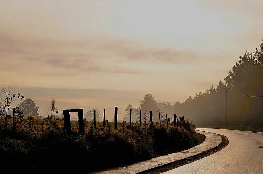 Winding Country Road at Sunrise with Misty Forest