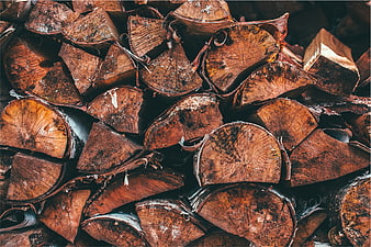 Stack of chopped firewood logs with rich texture