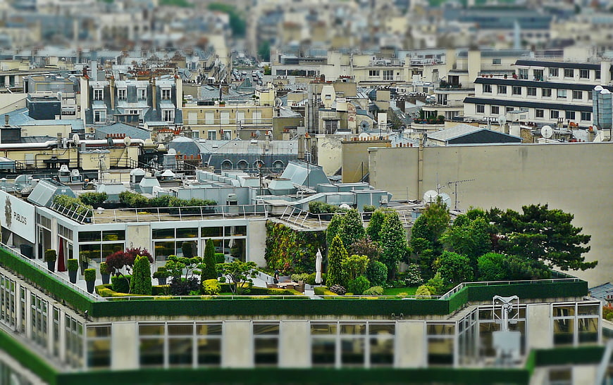 Tilt-shift view of Parisian rooftops and a lush green roof garden