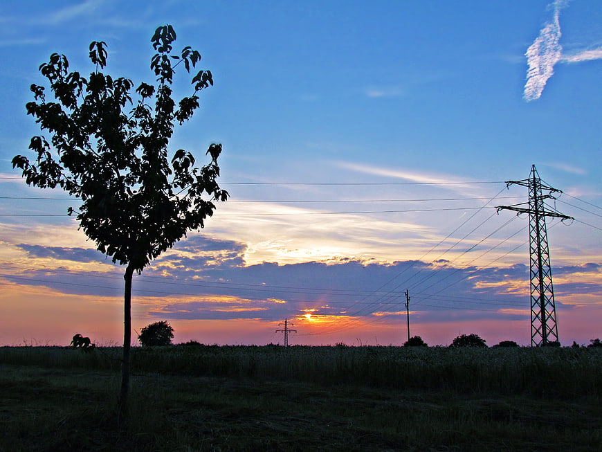 Silhouette of tree and power lines against colorful sunset sky