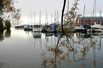 Autumn marina with sailboats and tree reflections