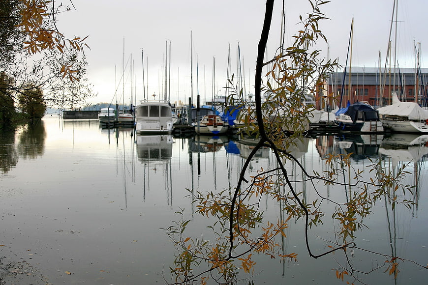 Autumn marina with sailboats and tree reflections