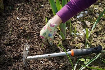 Gardener Hand Wearing Floral Glove Digging Soil With Hand Trowel