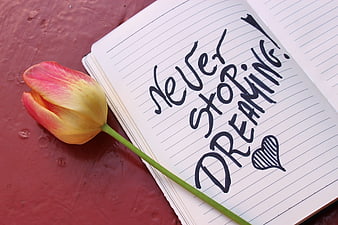 Inspirational quote never stop dreaming handwritten in notebook with tulip