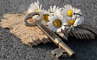 Vintage brass key with daisies on wood