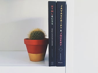 Web Development Books and Cactus on White Shelf