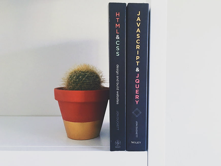 Web Development Books and Cactus on White Shelf