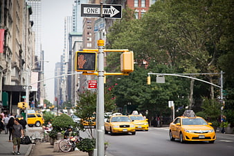 Yellow Taxis and Traffic Light on New York City Street