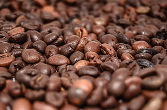 Close-up of roasted coffee beans with shallow depth of field