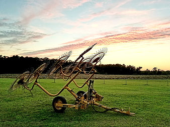 Vintage hay rake in green field at sunset