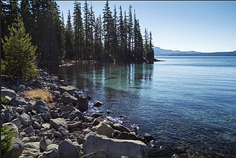 Serene Rocky Lake Shore with Pine Forest and Clear Blue Water