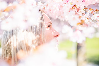Serene woman profile amidst pink cherry blossoms