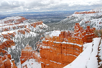 Snow-Covered Red Rock Canyon Landscape With Pine Trees