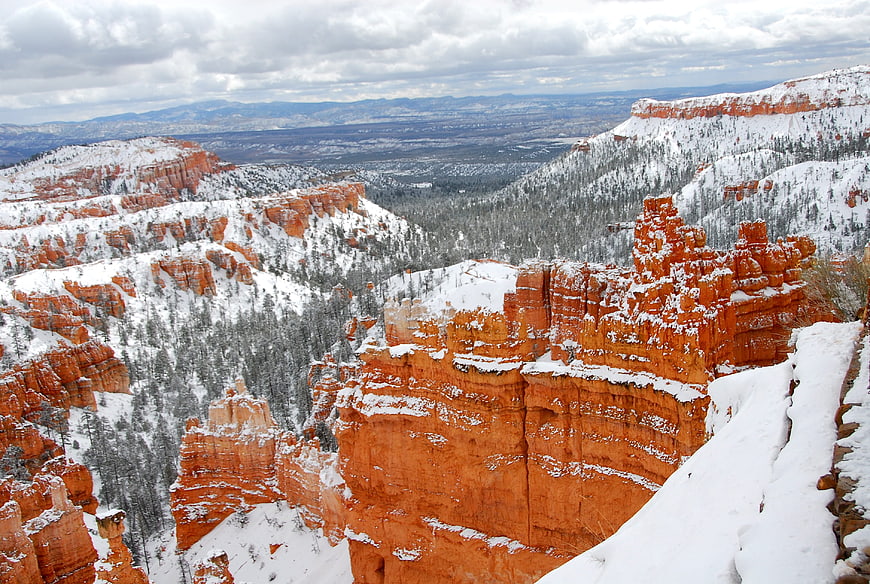 Snow-Covered Red Rock Canyon Landscape With Pine Trees