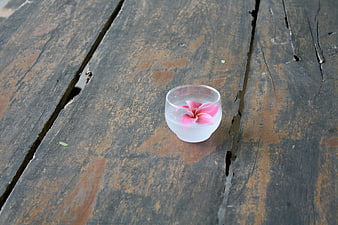 Pink frangipani flower floating in water on rustic wood