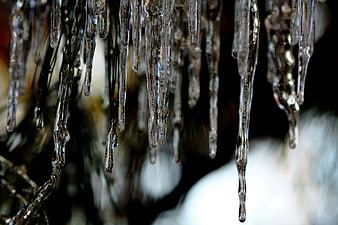 Close-up of sharp icicles hanging against a blurred winter background