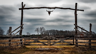 Rustic Ranch Gate with Hanging Bull Skull Under Cloudy Sky