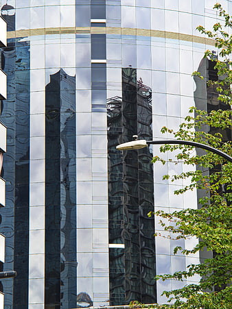 Modern Glass Building Reflection with Street Lamp and Tree