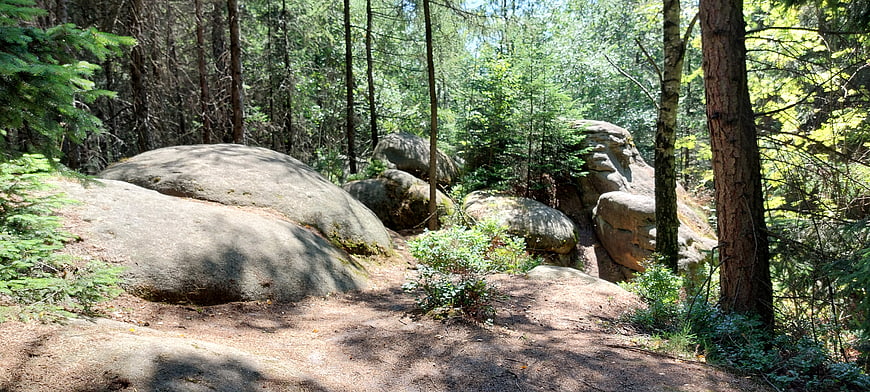 Sunlit forest path winding through large granite boulders