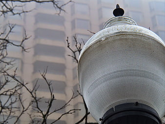 Close-up of vintage street lamp with bare branches