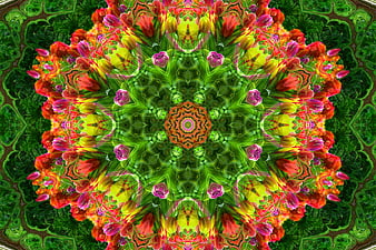 Vibrant floral kaleidoscope pattern with tulips