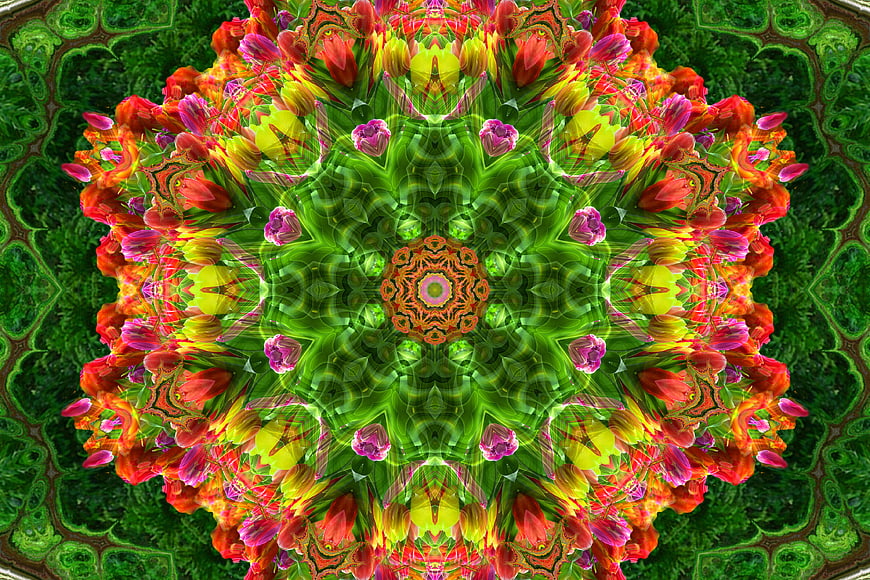 Vibrant floral kaleidoscope pattern with tulips