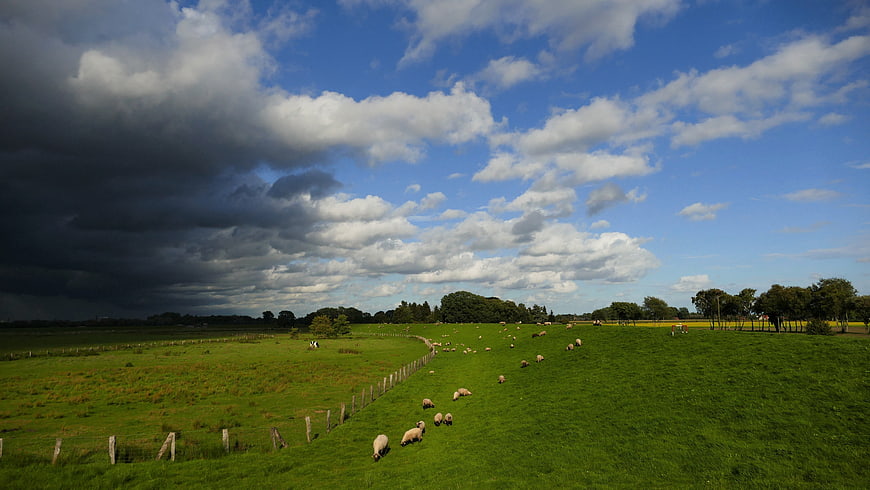 Dramatic landscape with sheep grazing under storm clouds