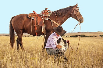 Cowboy kneeling with dog and saddled horse in golden field